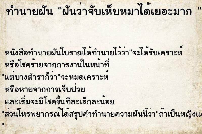ทำนายฝันทำนายฝันฝันว่าจับเห็บหมาได้เยอะมาก